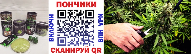купить наркотики сайты  mega как войти  Canna-Cookies конопля  Дмитриев 
