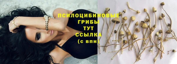 дживик Алексеевка