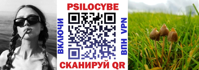 Псилоцибиновые грибы GOLDEN TEACHER Дмитриев