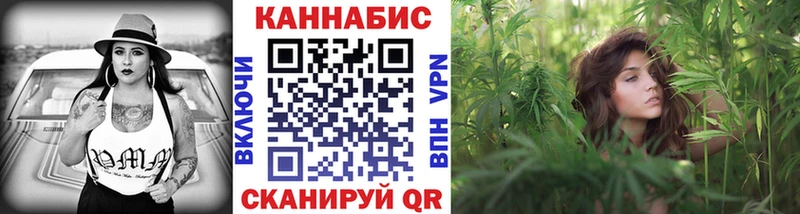 kraken как войти Дмитриев Шишки марихуана конопля